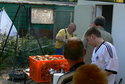 Sommerfest 2006