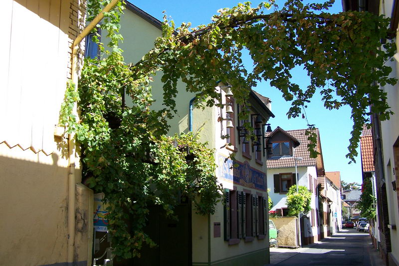 9.9.2006: Vereinsausflug nach Nierstein/ Rheinhessen