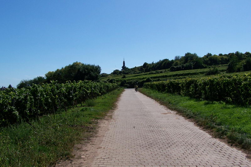 9.9.2006: Vereinsausflug nach Nierstein/ Rheinhessen