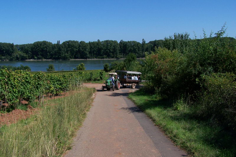 9.9.2006: Vereinsausflug nach Nierstein/ Rheinhessen