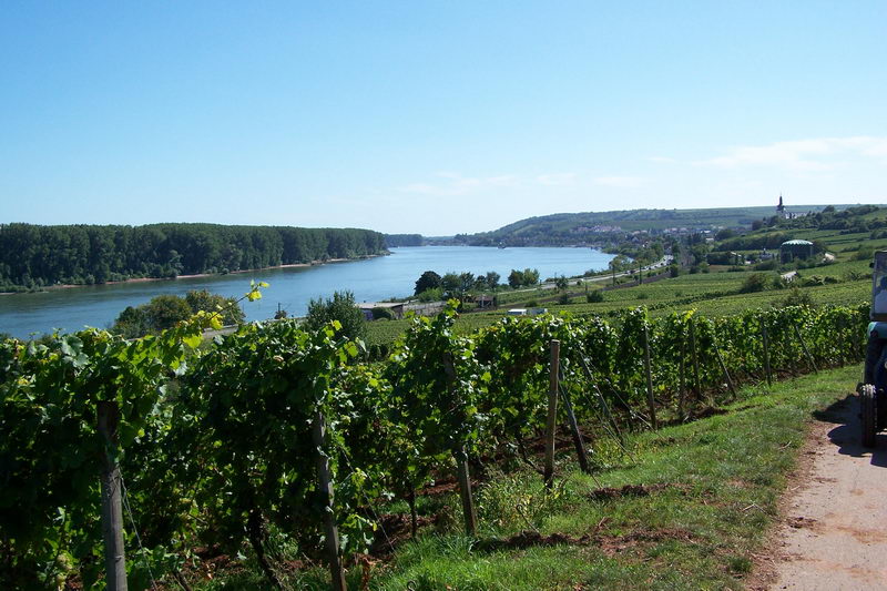 9.9.2006: Vereinsausflug nach Nierstein/ Rheinhessen