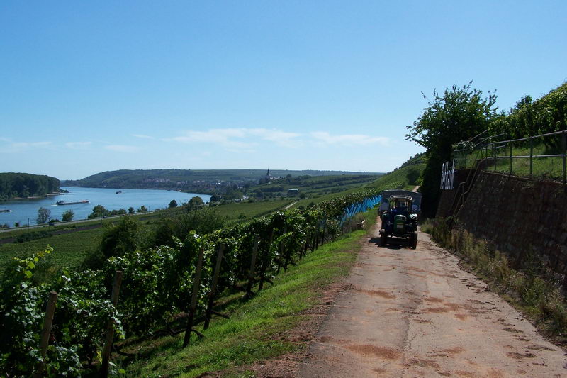 9.9.2006: Vereinsausflug nach Nierstein/ Rheinhessen