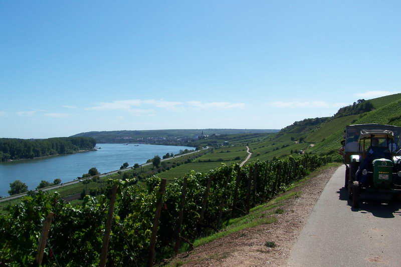 9.9.2006: Vereinsausflug nach Nierstein/ Rheinhessen