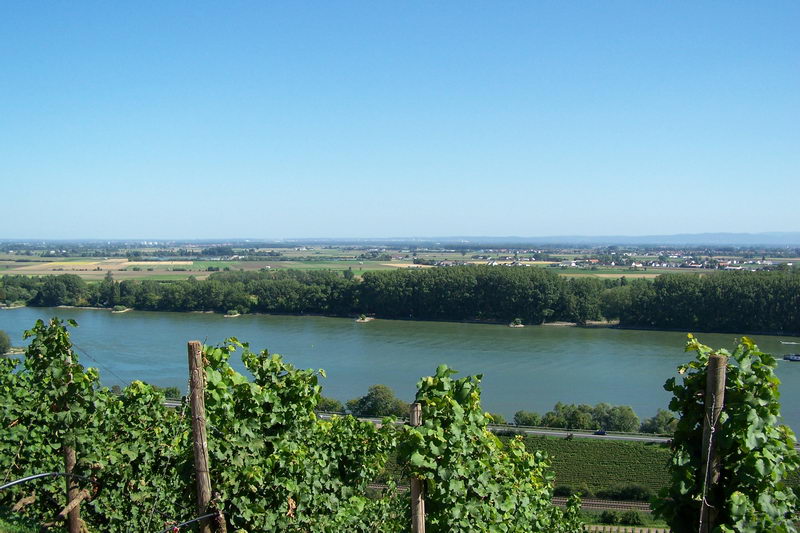 9.9.2006: Vereinsausflug nach Nierstein/ Rheinhessen