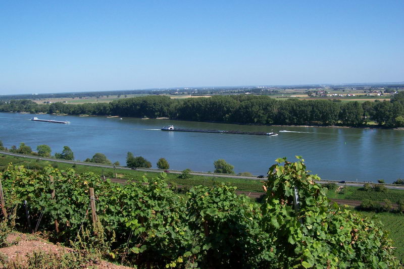 9.9.2006: Vereinsausflug nach Nierstein/ Rheinhessen