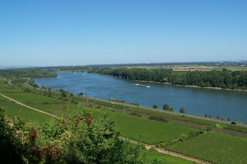 9.9.2006: Vereinsausflug nach Nierstein/ Rheinhessen