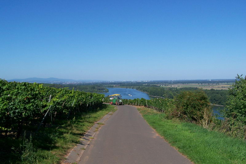 9.9.2006: Vereinsausflug nach Nierstein/ Rheinhessen