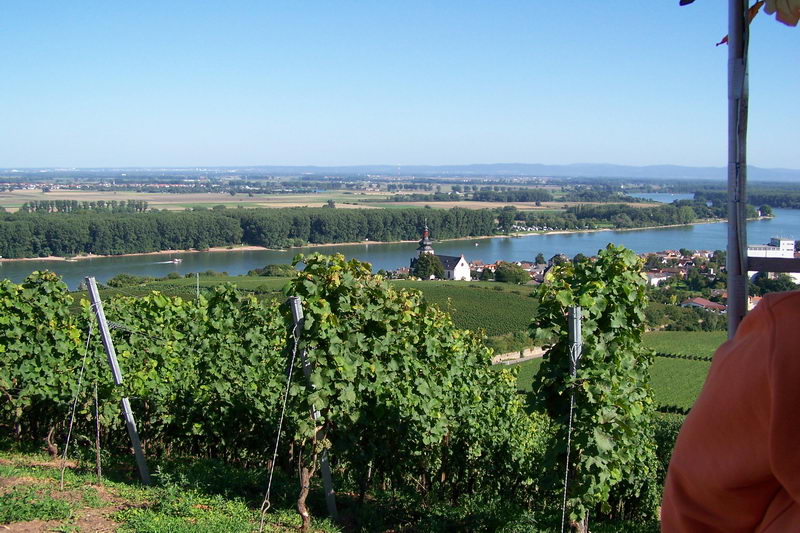 9.9.2006: Vereinsausflug nach Nierstein/ Rheinhessen