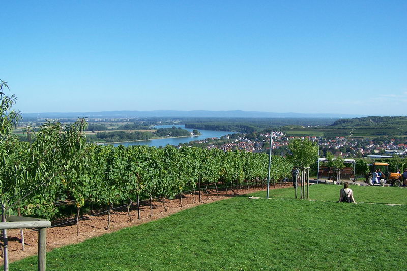 9.9.2006: Vereinsausflug nach Nierstein/ Rheinhessen