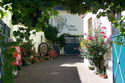 9.9.2006: Vereinsausflug nach Nierstein/ Rheinhessen