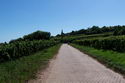 9.9.2006: Vereinsausflug nach Nierstein/ Rheinhessen