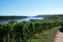 9.9.2006: Vereinsausflug nach Nierstein/ Rheinhessen