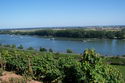 9.9.2006: Vereinsausflug nach Nierstein/ Rheinhessen