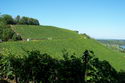 9.9.2006: Vereinsausflug nach Nierstein/ Rheinhessen