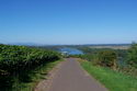 9.9.2006: Vereinsausflug nach Nierstein/ Rheinhessen