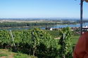 9.9.2006: Vereinsausflug nach Nierstein/ Rheinhessen