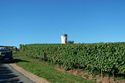 9.9.2006: Vereinsausflug nach Nierstein/ Rheinhessen