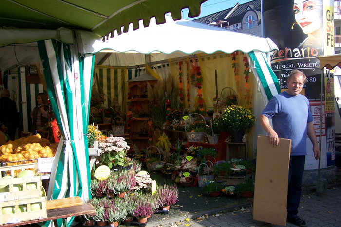 Zwiebelmarkt 2006