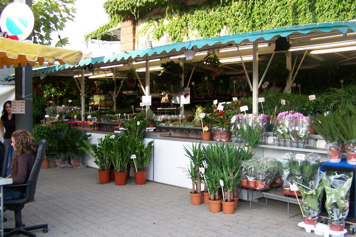 Zwiebelmarkt 2006