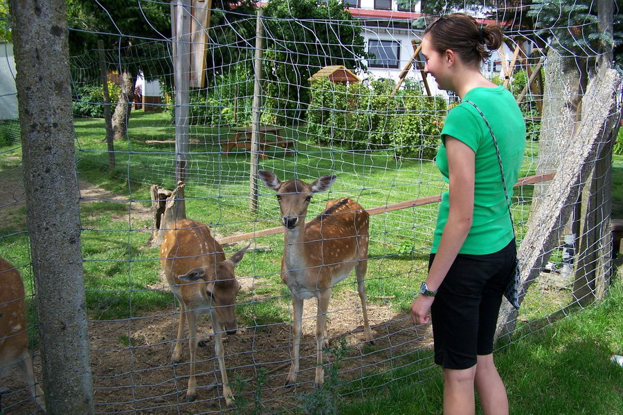 13.7.2007: Ausflug nach Hippelsbach