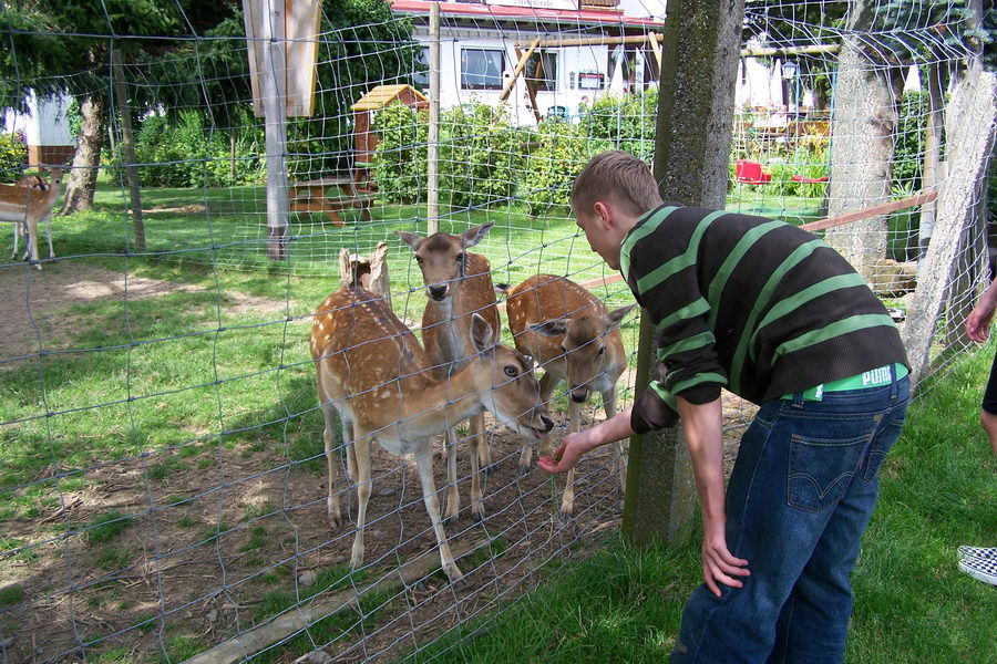 13.7.2007: Ausflug nach Hippelsbach