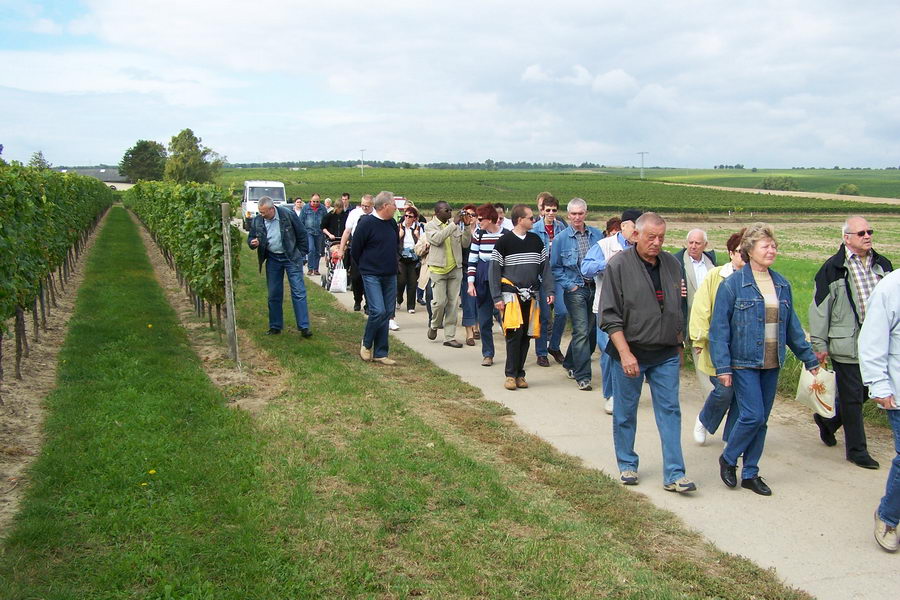 9.9.2007: Vereinsausflug zum Traubenlesefest in Schornsheim