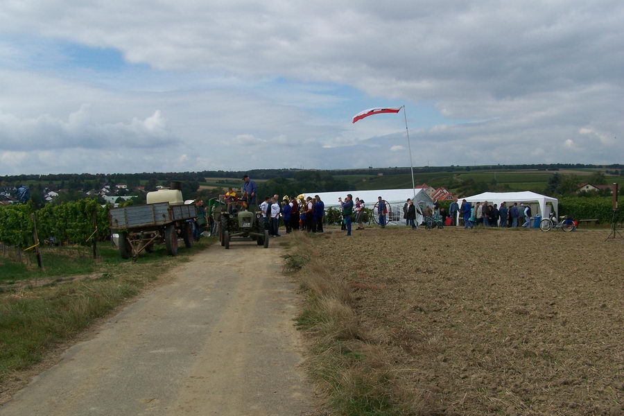 9.9.2007: Vereinsausflug zum Traubenlesefest in Schornsheim