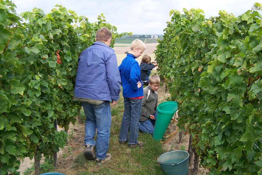 9.9.2007: Vereinsausflug zum Traubenlesefest in Schornsheim