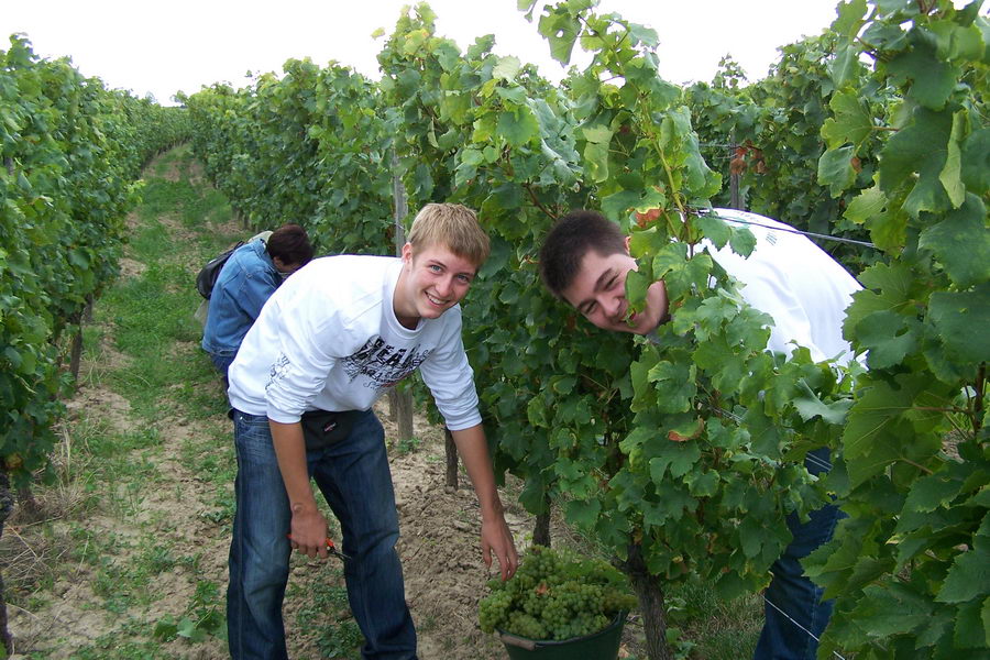 9.9.2007: Vereinsausflug zum Traubenlesefest in Schornsheim