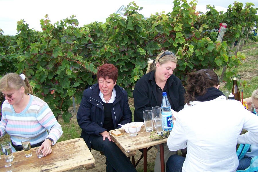 9.9.2007: Vereinsausflug zum Traubenlesefest in Schornsheim