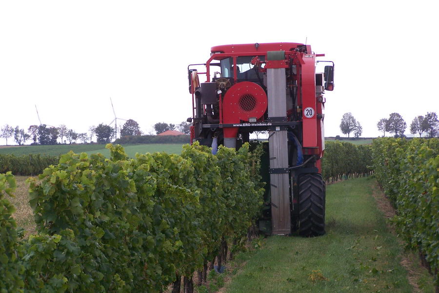 9.9.2007: Vereinsausflug zum Traubenlesefest in Schornsheim