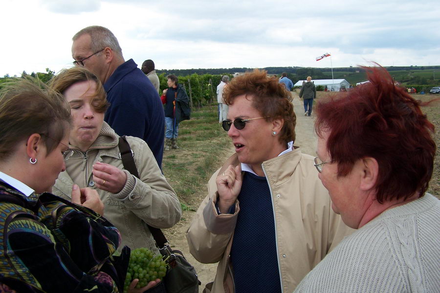 9.9.2007: Vereinsausflug zum Traubenlesefest in Schornsheim