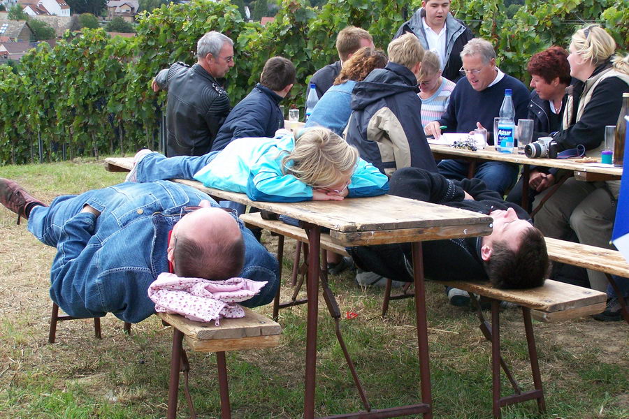 9.9.2007: Vereinsausflug zum Traubenlesefest in Schornsheim