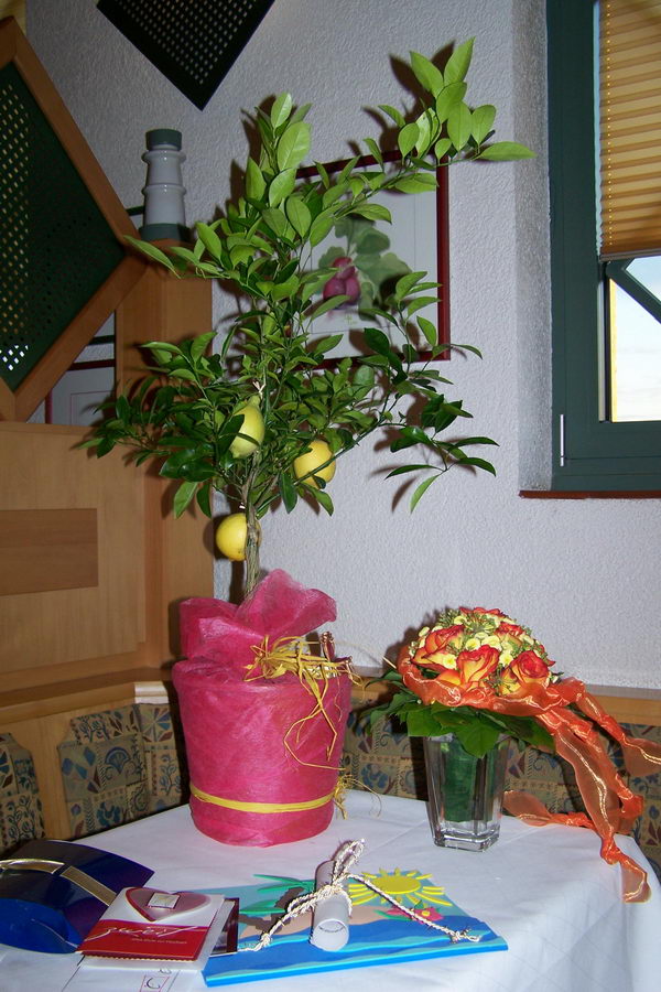 20.9.2007: Hochzeit von Christina und Stefan Fassoth