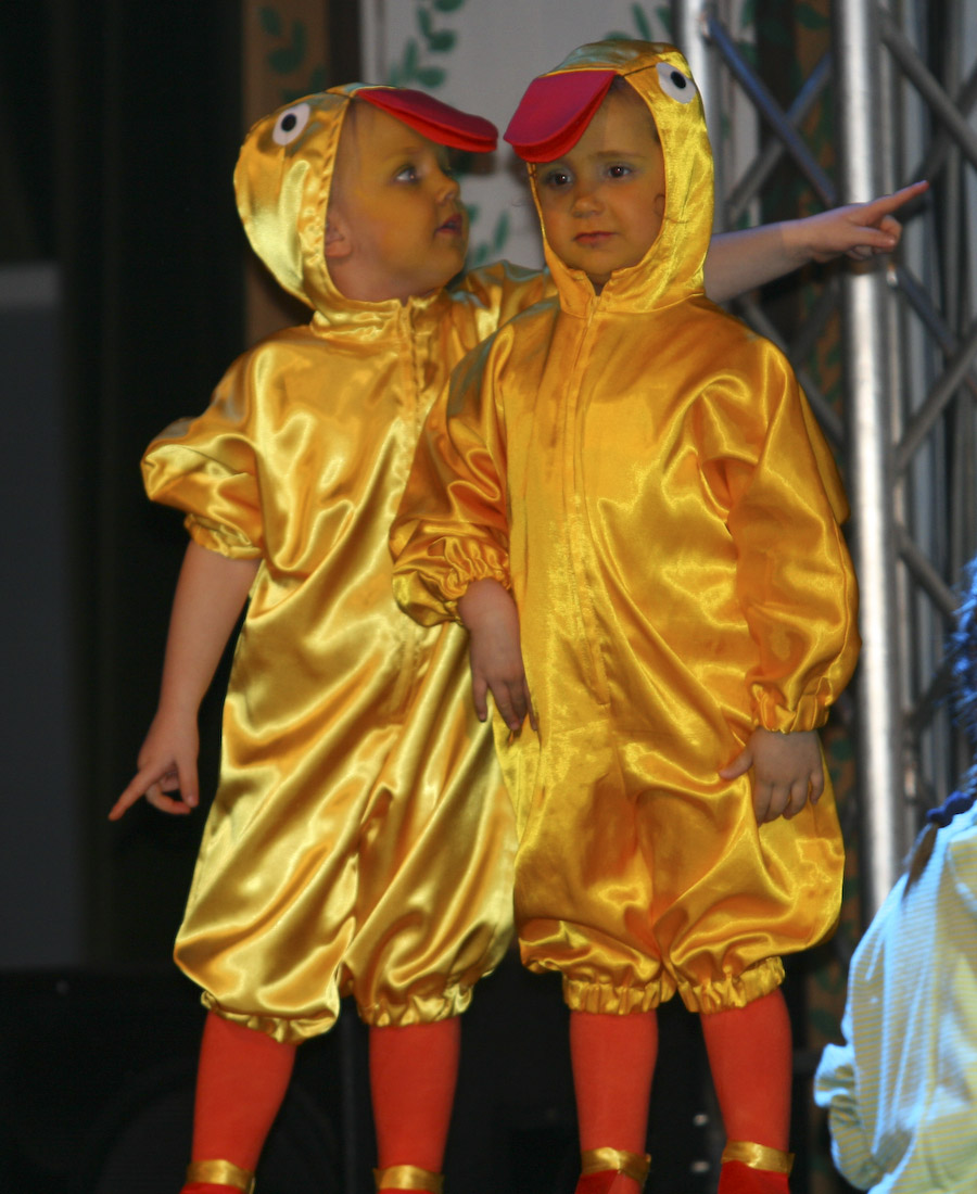 27.1.2008: Damen- und Herrnsitzung der 1. Griesheimer Carneval Gesellschaft