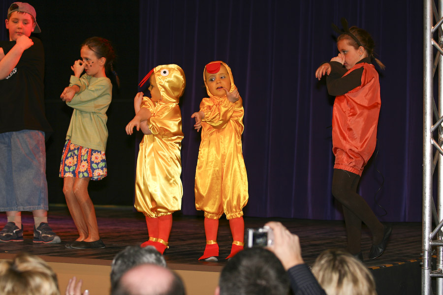 27.1.2008: Damen- und Herrnsitzung der 1. Griesheimer Carneval Gesellschaft