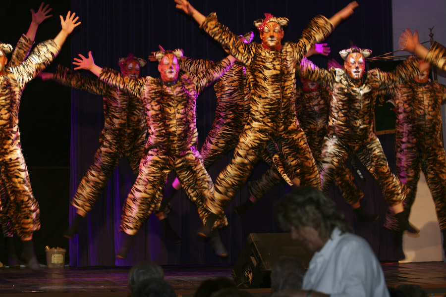 27.1.2008: Damen- und Herrnsitzung der 1. Griesheimer Carneval Gesellschaft