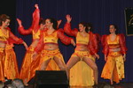 27.1.2008: Damen- und Herrnsitzung der 1. Griesheimer Carneval Gesellschaft