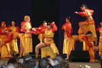 27.1.2008: Damen- und Herrnsitzung der 1. Griesheimer Carneval Gesellschaft