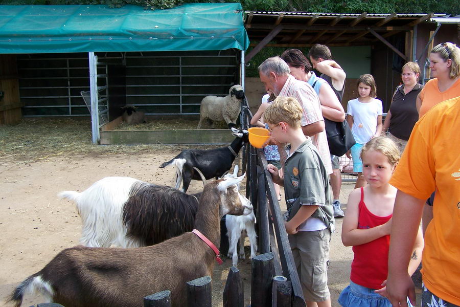 31.7.2008: Mensch + Tier Begegnung bei Werner Wolf