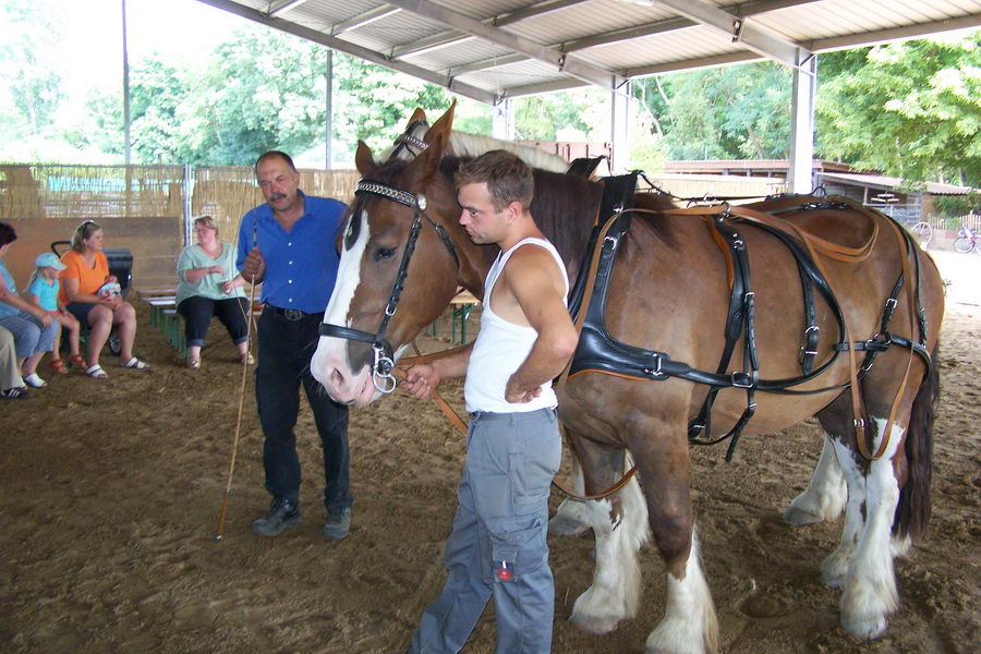 31.7.2008: Mensch + Tier Begegnung bei Werner Wolf