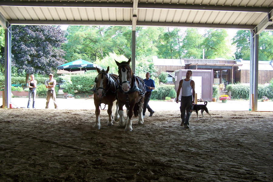 31.7.2008: Mensch + Tier Begegnung bei Werner Wolf