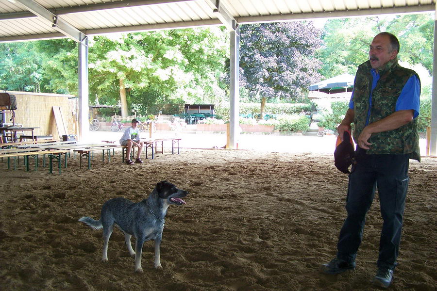 31.7.2008: Mensch + Tier Begegnung bei Werner Wolf