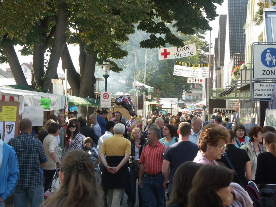 Zwiebelmarkt 2008