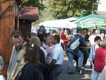 Zwiebelmarkt 2008