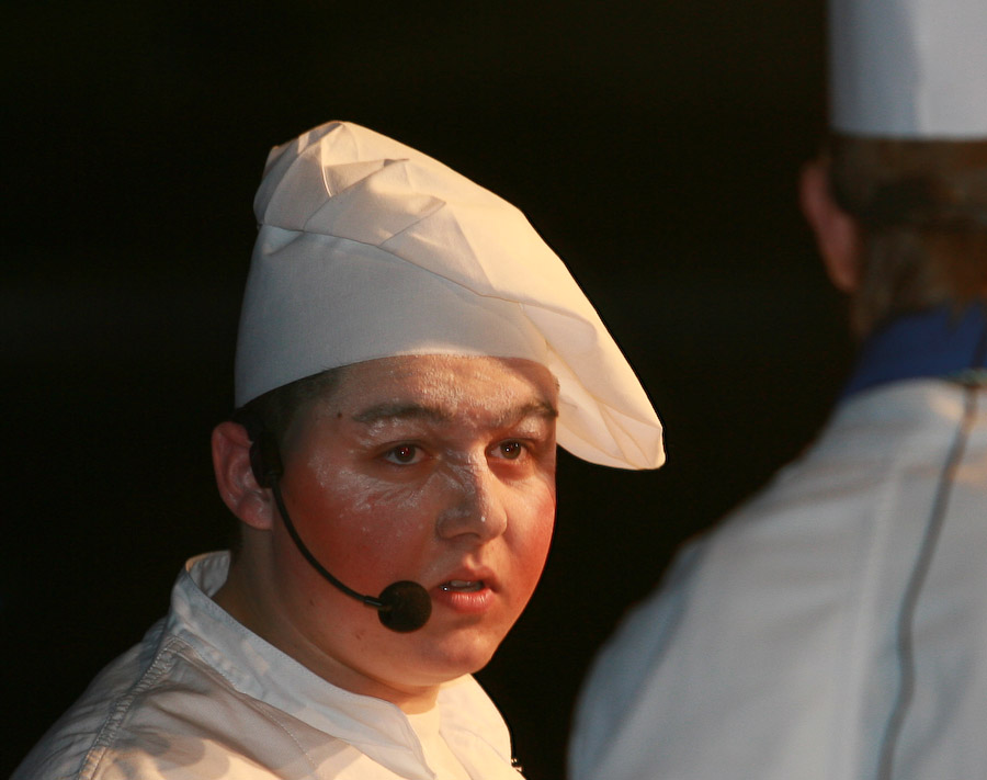 14.2.2009: Ball der 1. Griesheimer Carneval Gesellschaft