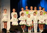 14.2.2009: Ball der 1. Griesheimer Carneval Gesellschaft